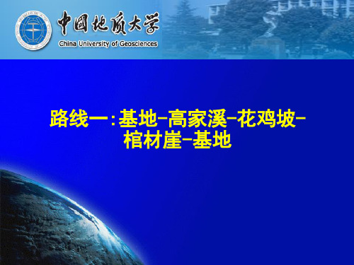 震旦系灯影组地层特征