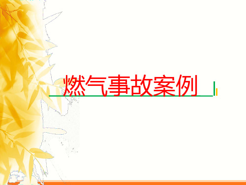 燃气事故案例学习2