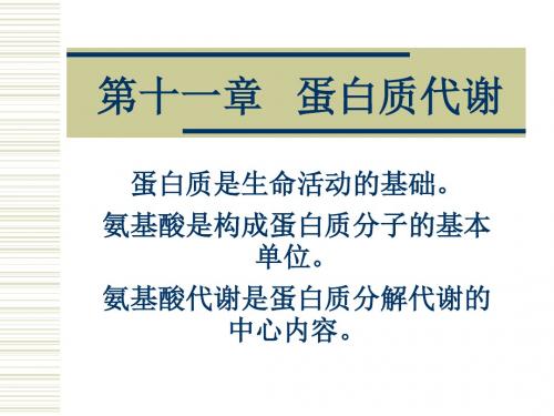 蛋白质代谢