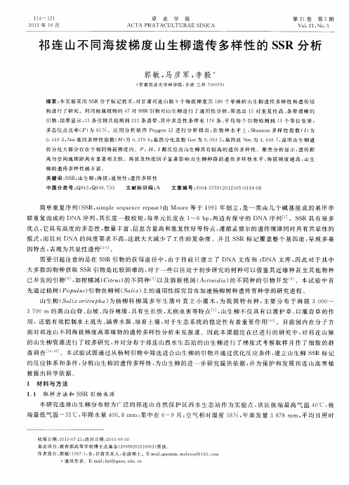 祁连山不同海拔梯度山生柳遗传多样性的SSR分析