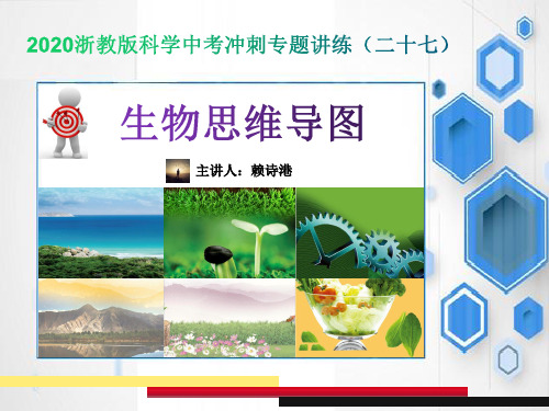 2020浙教版科学中考冲刺专题讲练课件(二十七)：生物思维导图(张PPT)