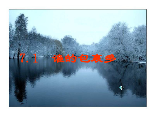 谁的包裹多[上学期]--北师大版--P