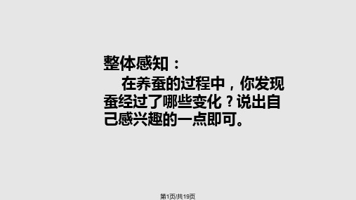 养蚕经验交流会PPT课件