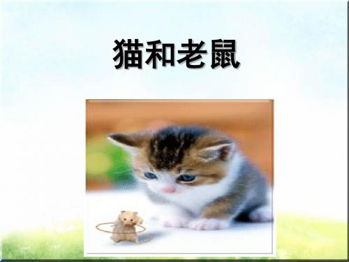 语文S版一下《猫和老鼠》ppt课件1