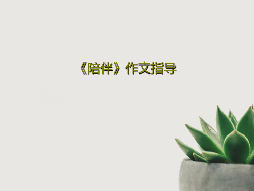 《陪伴》作文指导共28页文档