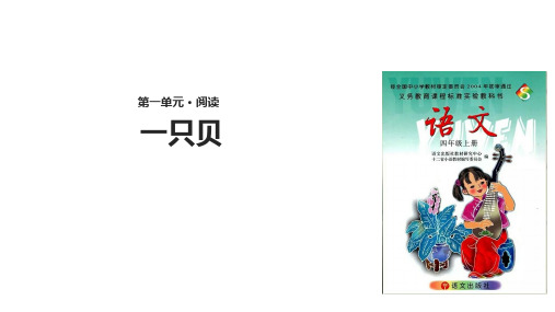 四年级上册语文课件3一只贝∣语文S版(共12张PPT)