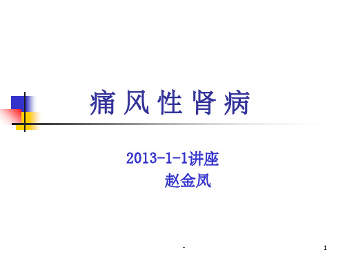痛风性肾病护理查房 ppt