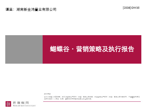 XX谷营销策略及执行报告