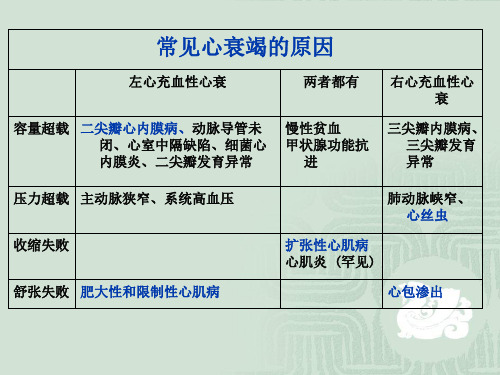 兽医学-犬类心脏瓣膜疾病课件