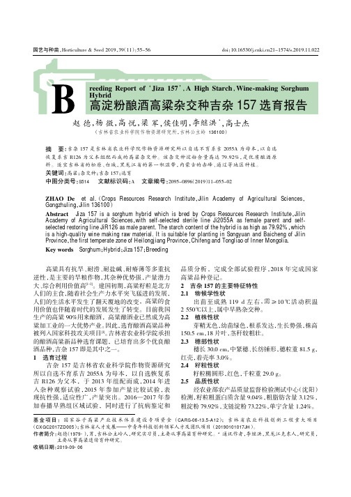 高淀粉酿酒高粱杂交种吉杂157选育报告