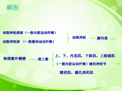 动眼神经麻痹常见病因(共24张PPT)