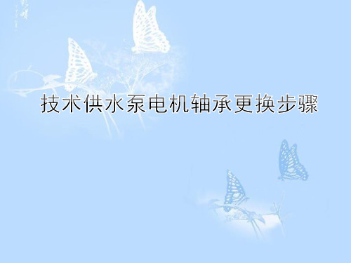 技术供水泵电机轴承更换步骤
