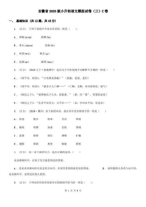 安徽省2020版小升初语文模拟试卷(三)C卷(新版)