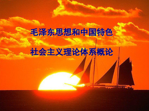 毛概第七章
