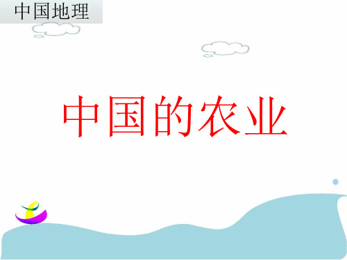 中国的农业课件