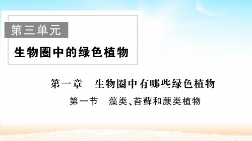 人教版七年级生物上册 第三单元 第一章  第一节 藻类、苔藓和蕨类植物