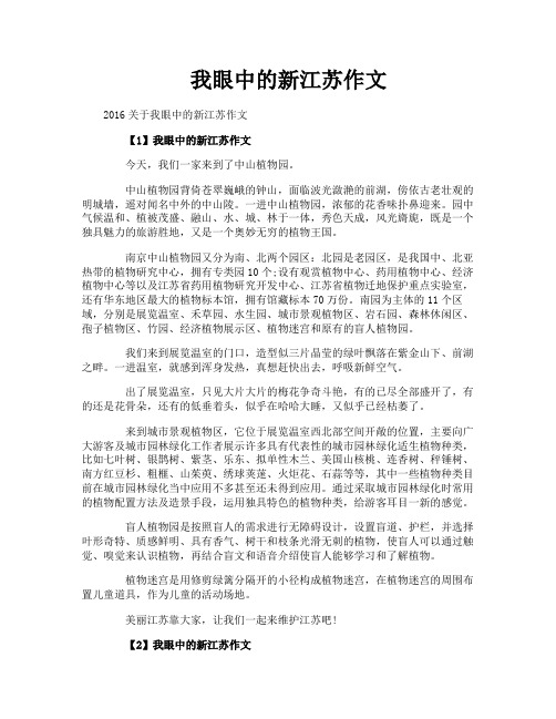 我眼中的新江苏作文