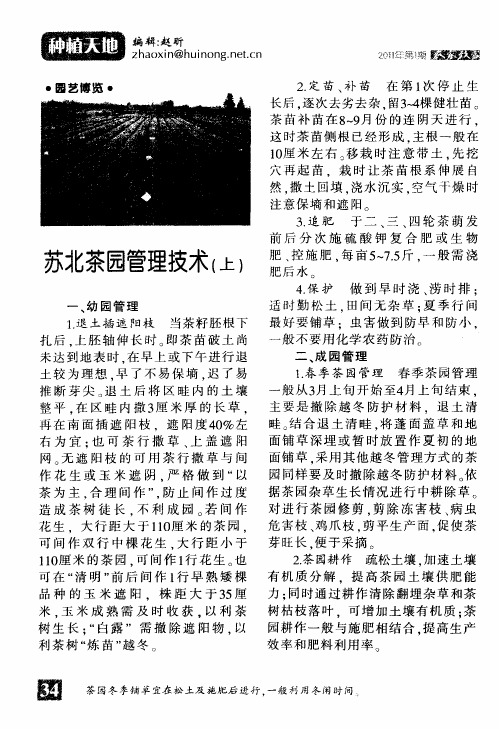 苏北茶园管理技术(上)