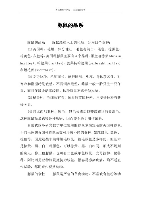 豚鼠的品系