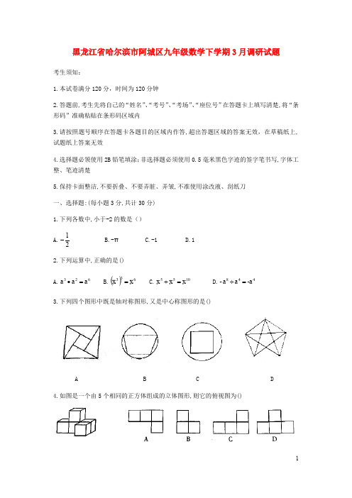 黑龙江省哈尔滨市阿城区九年级数学下学期月调研试题