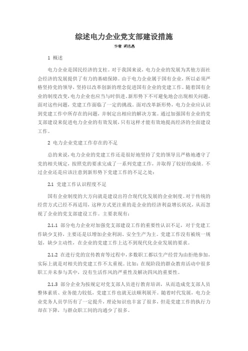 综述电力企业党支部建设措施