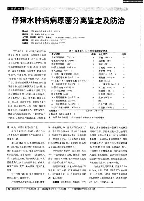 仔猪水肿病病原菌分离鉴定及防治
