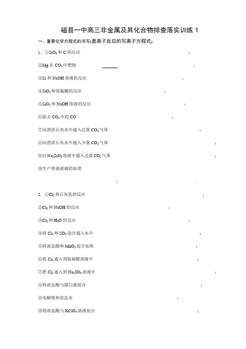 磁县一中高三非金属及其化合物排查落实