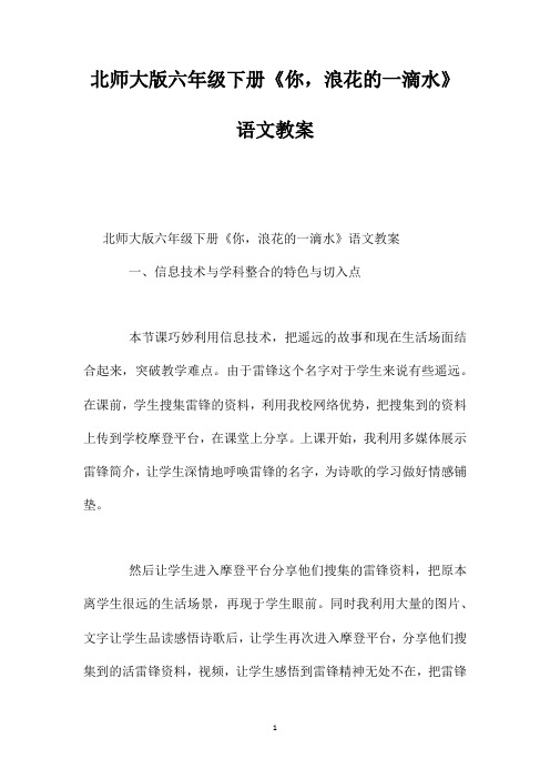 北师大版六年级下册《你浪花的一滴水》语文教案