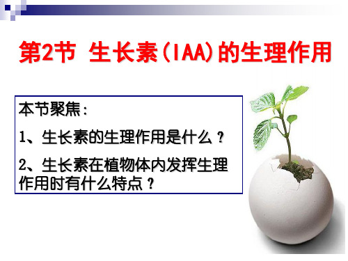 上课-生长素的生理作用.ppt-精品文档
