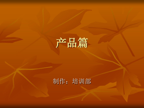 中文域名产品培训