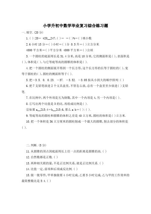 小学升初中数学毕业复习综合练习题