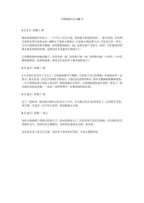 小狗观察日记500字