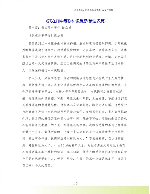 《我在雨中等你》读后感(精选多篇)