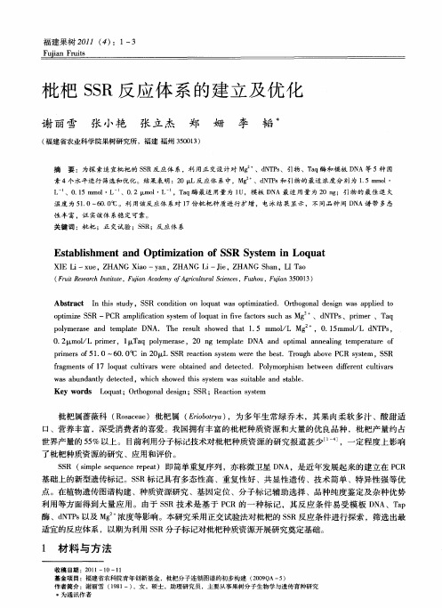 枇杷SSR反应体系的建立及优化