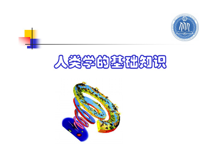 人类学的基础知识