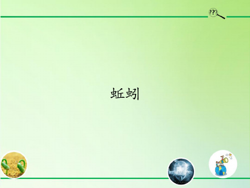 三年级上科学-2.4 蚯蚓课件-教科版