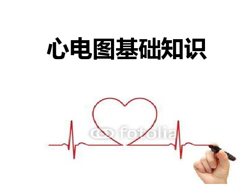 心电图讲课稿