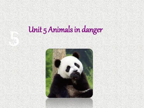 【牛津上海版】(深圳)六上英语：Unit 5《Animals in danger》ppt课件