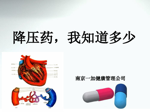 常用降压药 PPT课件