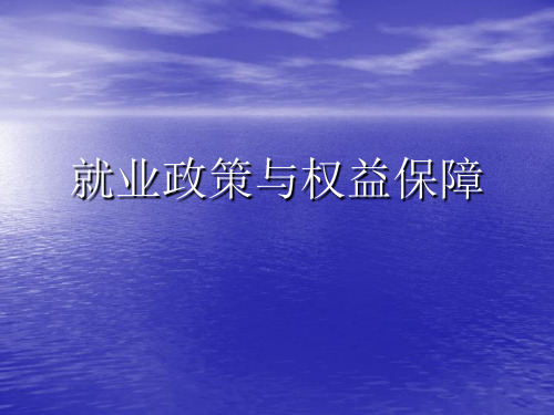 就业政策与权益保障