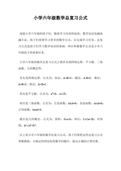 小学六年级数学总复习公式