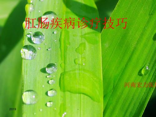 肛肠疾病诊疗技巧ppt课件