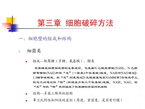 第三章 细胞破碎 应国清老师课件
