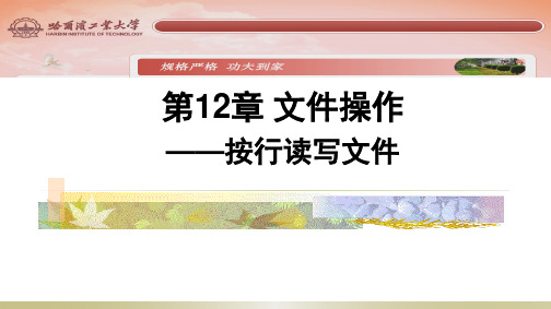 第12章 文件操作-按行读写文件