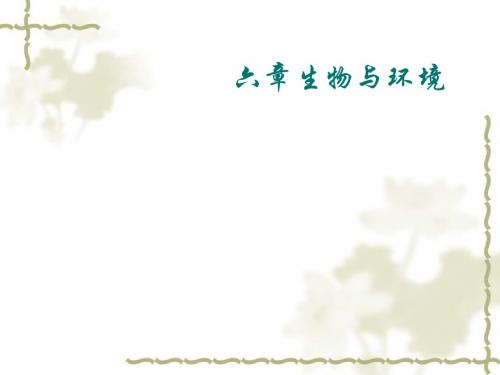 生态系统PPT课件15 北京版