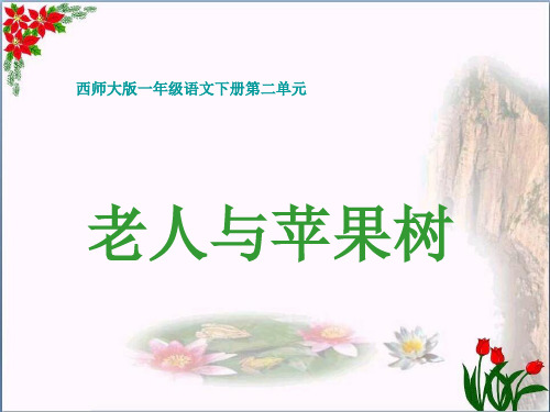西师版小学一年级语文下册第4课《老人与苹果树》精品 课件 