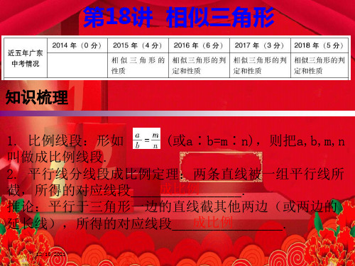 中考数学复习 第一部分 知识梳理 第四章 三角形 第18讲 相似三角形课件