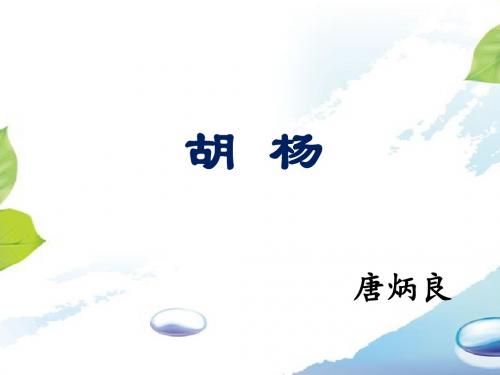《胡杨》课件1-优质公开课-湘教六下精品