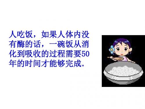 降低化学反应活化能的酶19张ppt