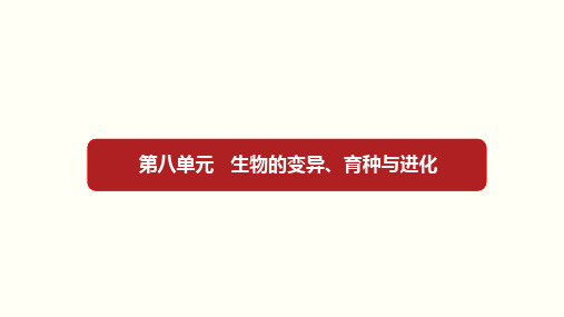高考生物第八单元 生物的变异、育种与进化(课件)